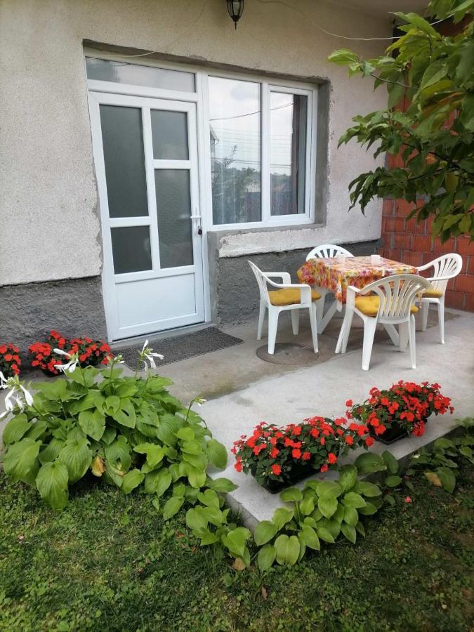 Pavicevic Appartement Sokobanja Buitenkant foto