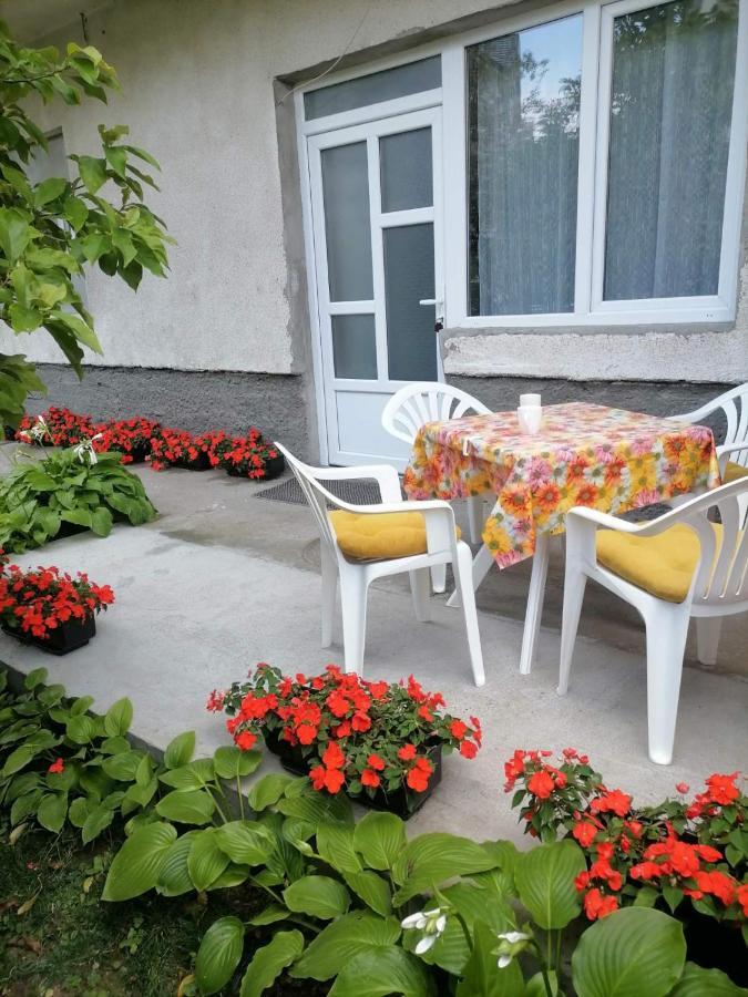 Pavicevic Appartement Sokobanja Buitenkant foto