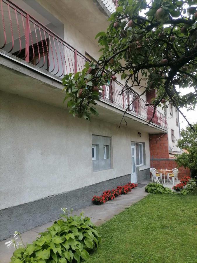 Pavicevic Appartement Sokobanja Buitenkant foto
