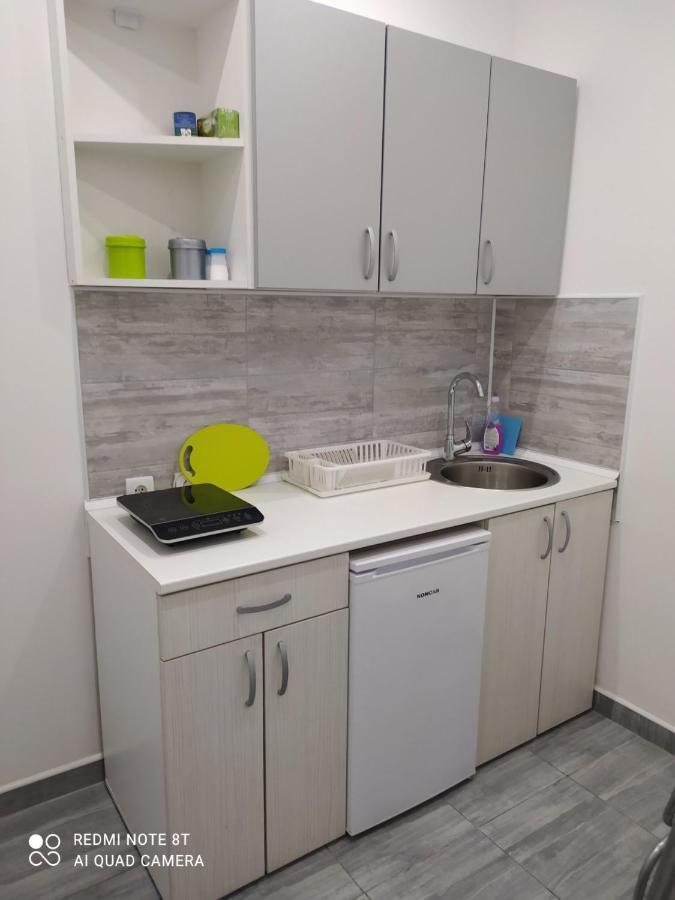 Pavicevic Appartement Sokobanja Buitenkant foto
