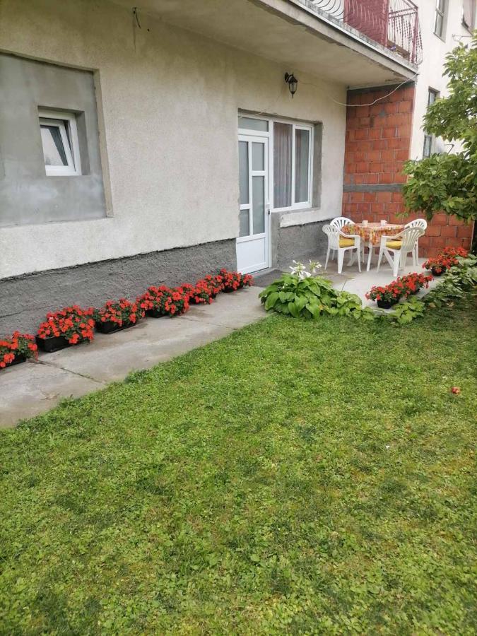 Pavicevic Appartement Sokobanja Buitenkant foto