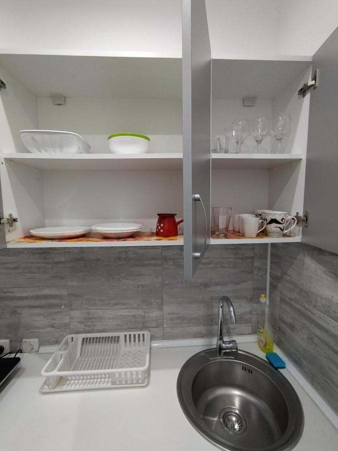 Pavicevic Appartement Sokobanja Buitenkant foto