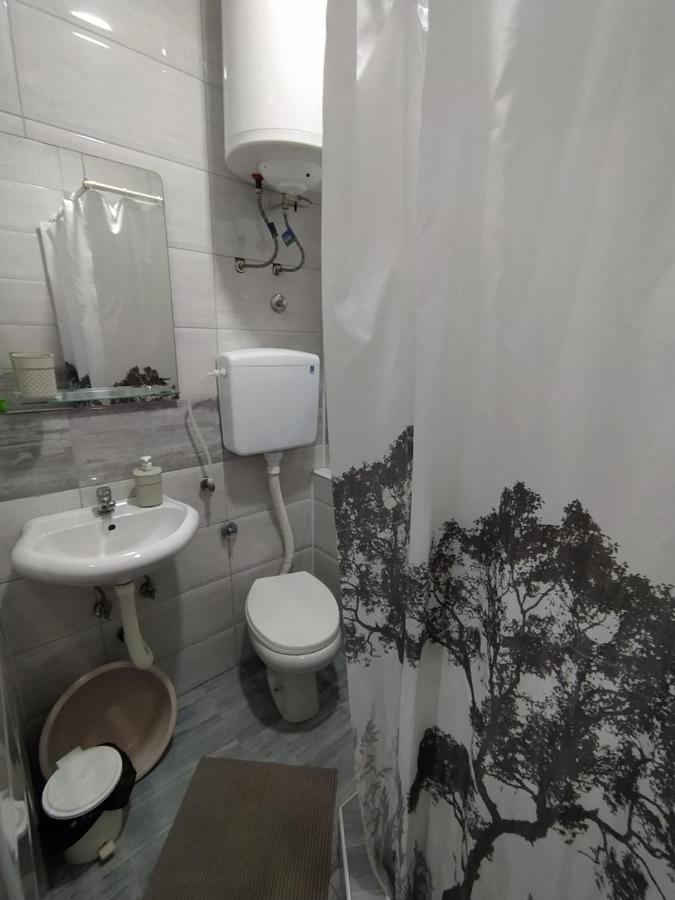 Pavicevic Appartement Sokobanja Buitenkant foto