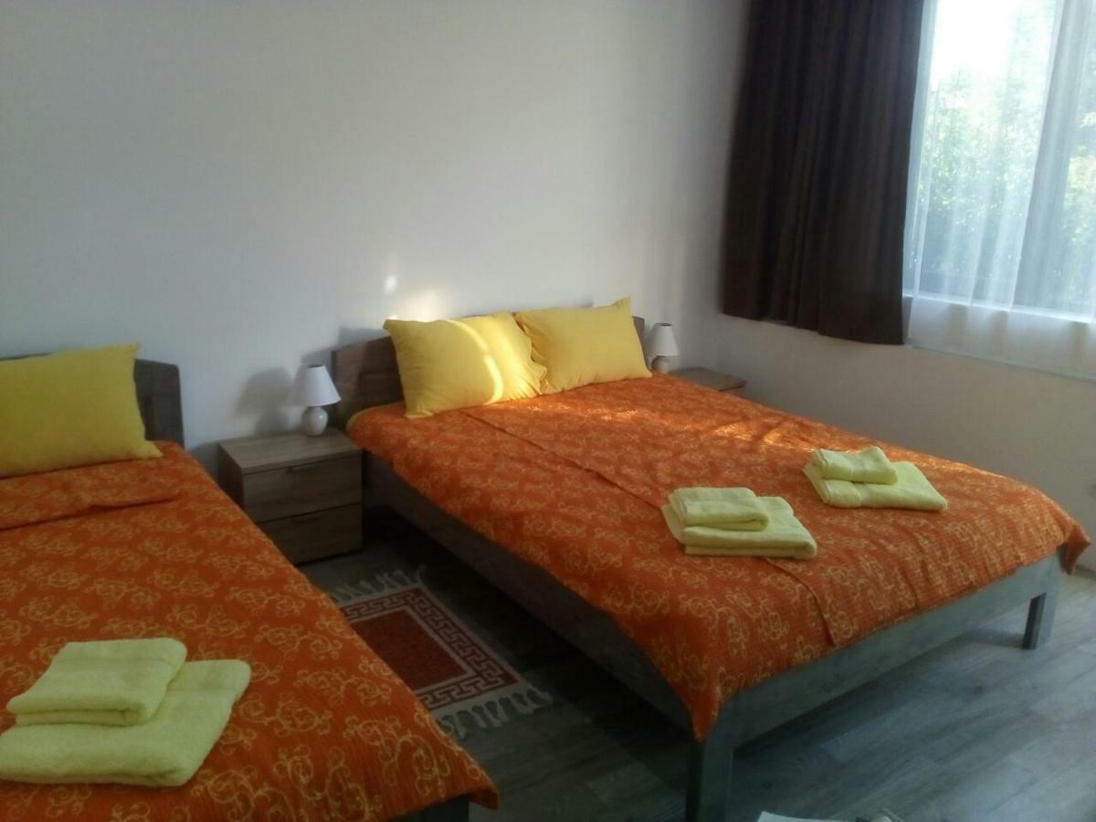 Pavicevic Appartement Sokobanja Buitenkant foto